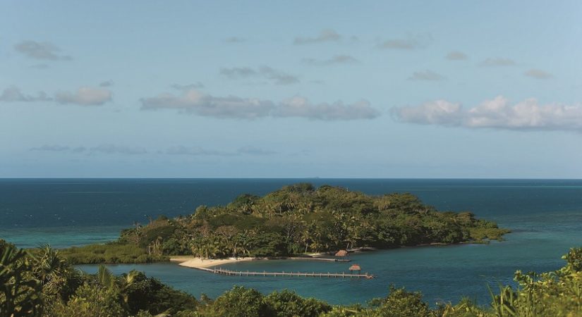 Dolphin Island